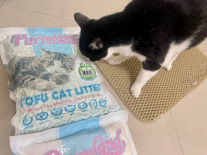 女人知己試用大隊,口碑行銷,部落客行銷,PurreLand 倍淨豆腐貓砂,好市多購買,COSTCO購買,豆腐貓砂,PurreLand倍淨,低粉塵,易清理,可沖馬桶,提供絕佳的除臭與凝結力,豆腐貓砂評價,貓砂評價,使用心得,貓砂分享,好用,原味,綠茶,豆腐砂,水量需完全覆蓋貓砂,水量需貓砂的2~3倍以上,豆腐砂評價,高CP值,划算